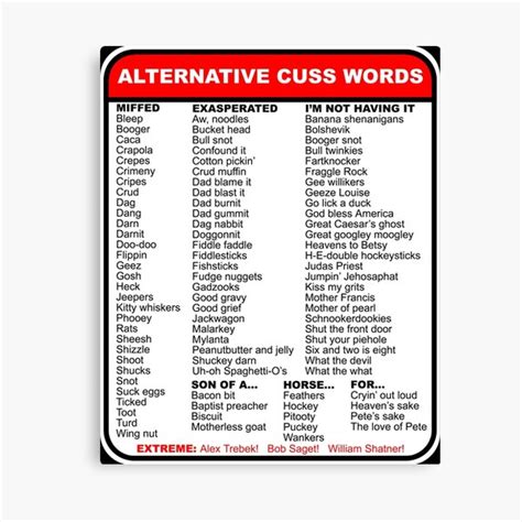 Slang alternatives for curse words